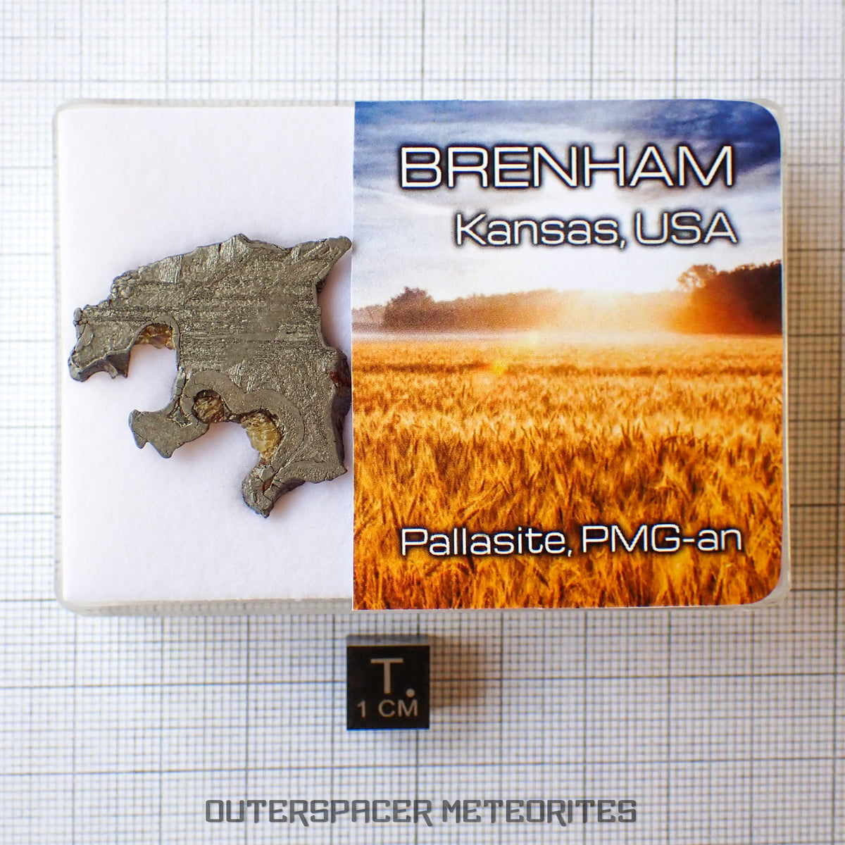 Brenham - Pallasite PMG-an - Skeletal Slice - 10.07g - USA (Kansas)