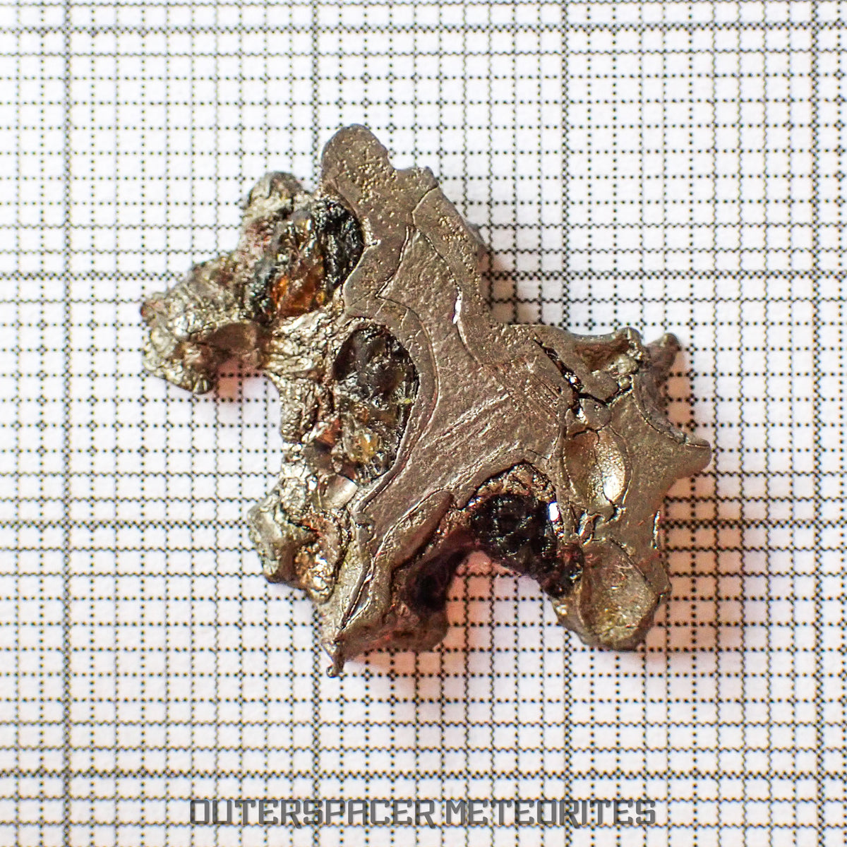 Brenham - Pallasite PMG-an - Skeletal Slice - USA (Kansas)