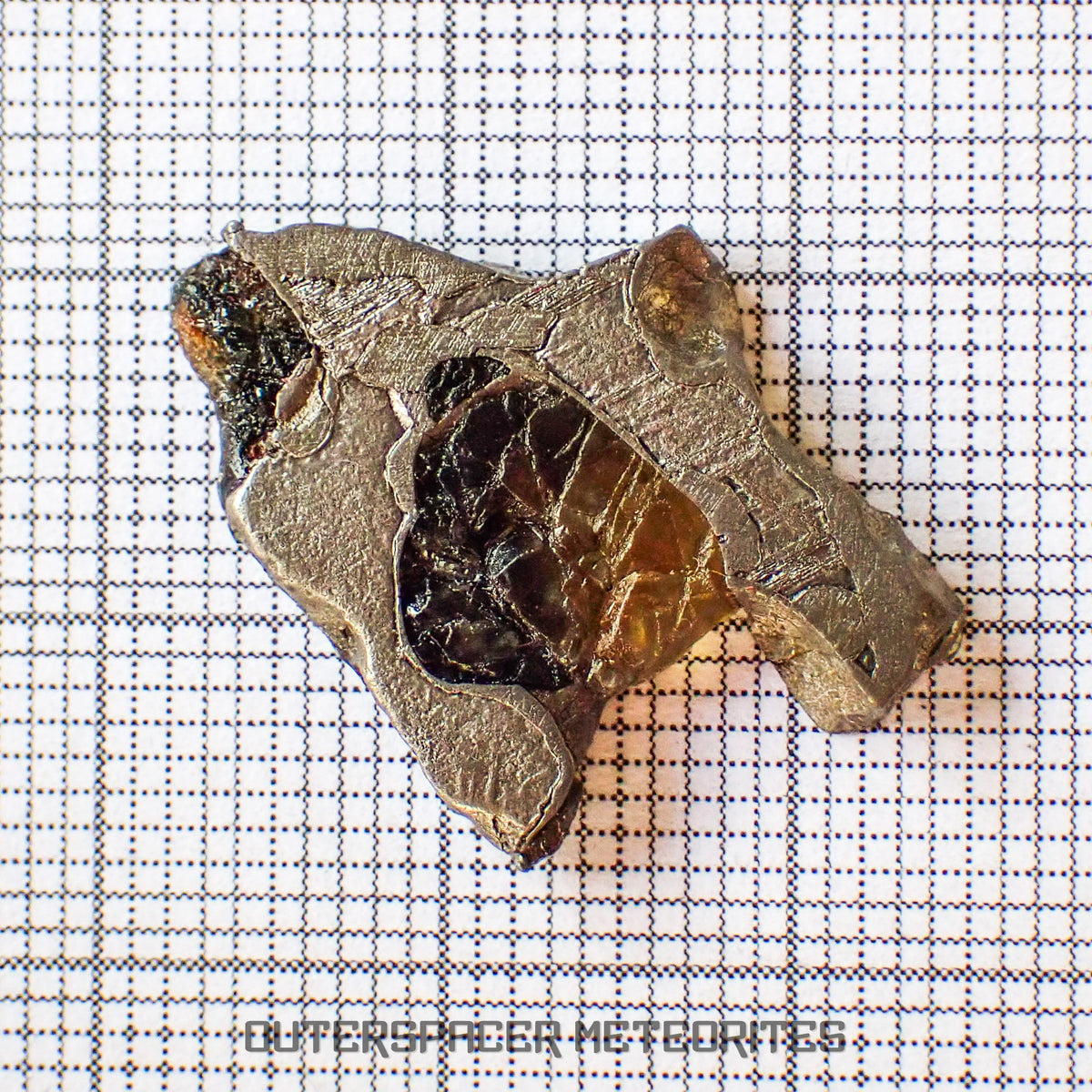 Brenham - Pallasite PMG-an - Skeletal Slice - USA (Kansas)