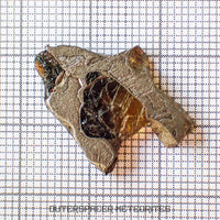 Brenham - Pallasite PMG-an - Skeletal Slice - USA (Kansas)