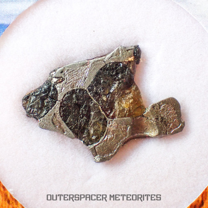 Brenham - Pallasite PMG-an - Skeletal Slice - USA (Kansas)