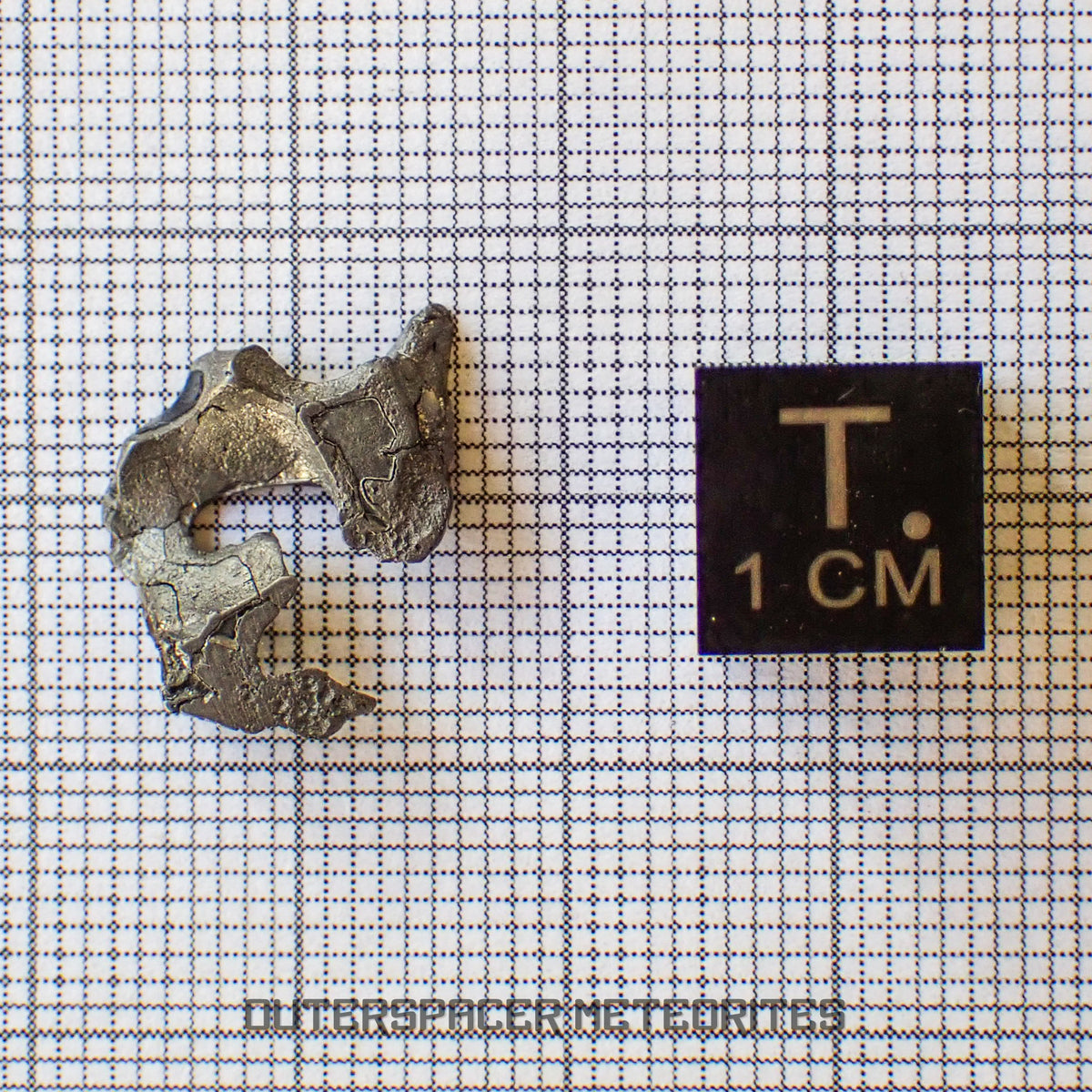Brenham - Pallasite PMG-an - Skeletal Slice - USA (Kansas)
