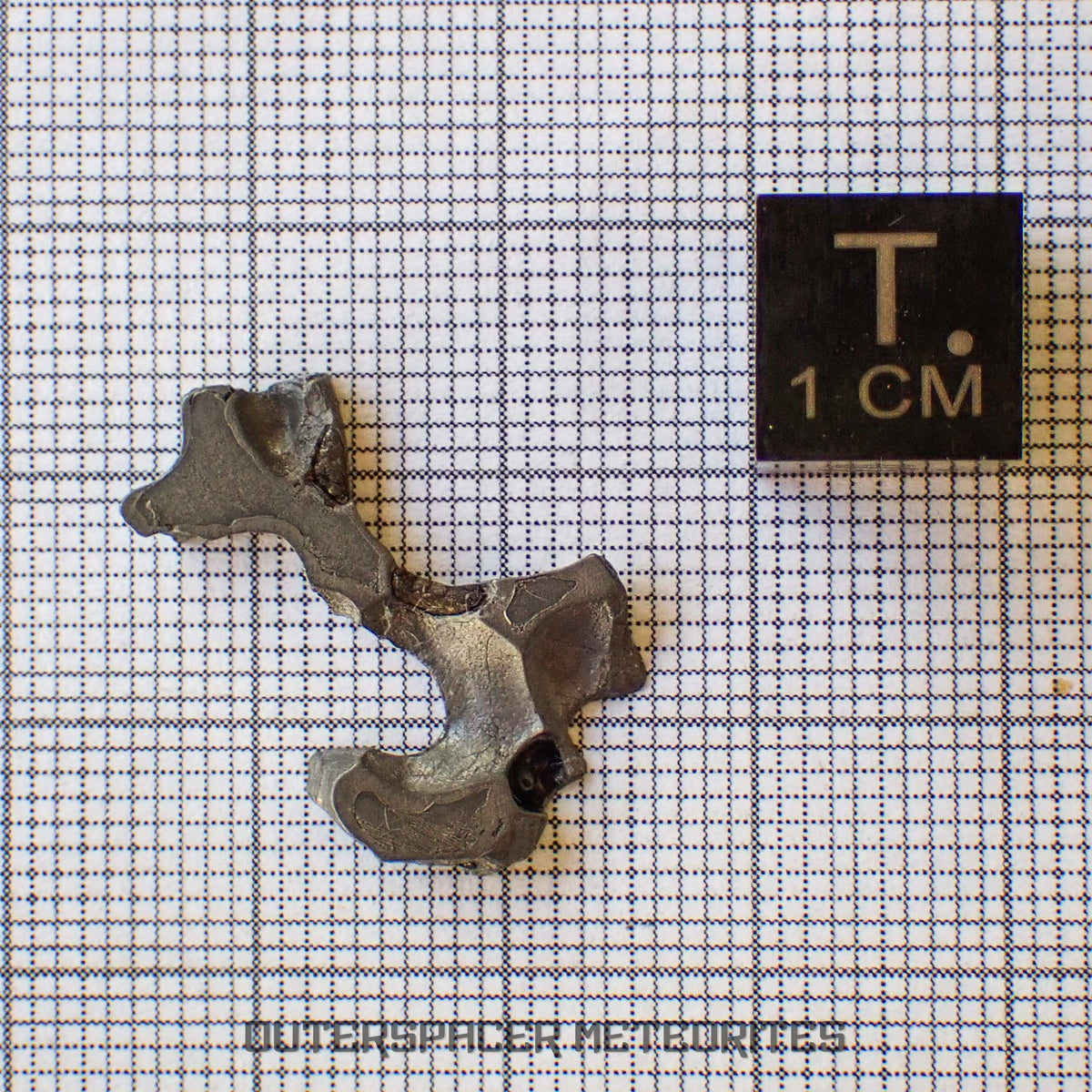 Brenham - Pallasite PMG-an - Skeletal Slice - USA (Kansas)
