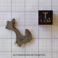 Brenham - Pallasite PMG-an - Skeletal Slice - USA (Kansas)