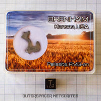Brenham - Pallasite PMG-an - Skeletal Slice - USA (Kansas)