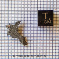 Brenham - Pallasite PMG-an - Skeletal Slice - USA (Kansas)