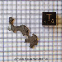 Brenham - Pallasite PMG-an - Skeletal Slice - USA (Kansas)