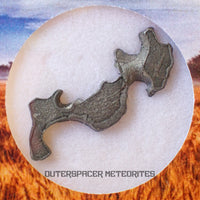 Brenham - Pallasite PMG-an - Skeletal Slice - USA (Kansas)