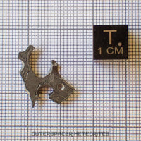 Brenham - Pallasite PMG-an - Skeletal Slice - USA (Kansas)