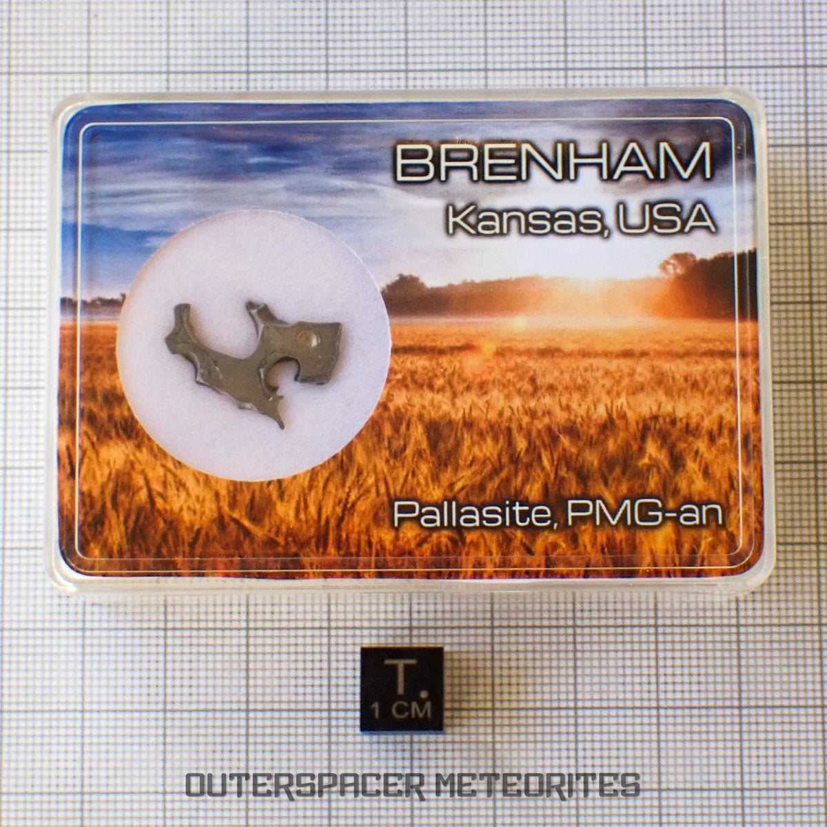 Brenham - Pallasite PMG-an - Skeletal Slice - USA (Kansas)