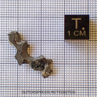 Brenham - Pallasite PMG-an - Skeletal Slice - USA (Kansas)