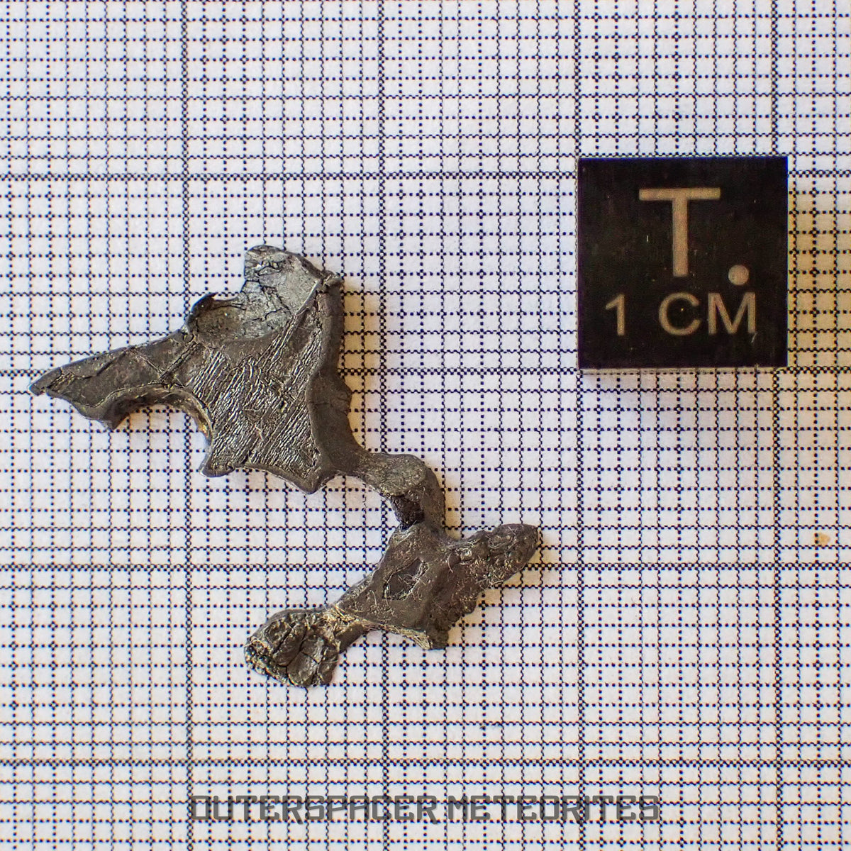 Brenham - Pallasite PMG-an - Skeletal Slice - USA (Kansas)