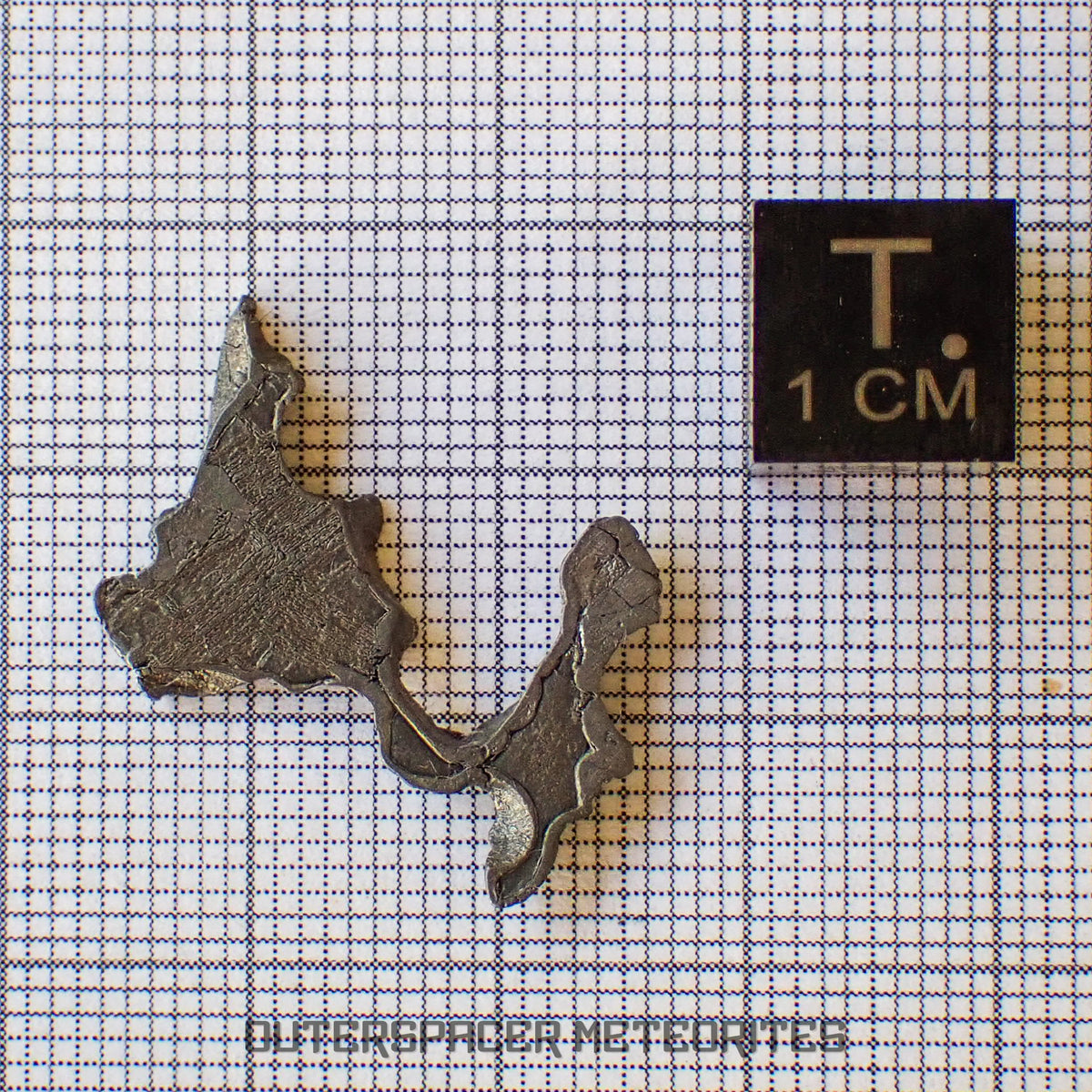 Brenham - Pallasite PMG-an - Skeletal Slice - USA (Kansas)