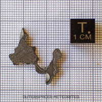 Brenham - Pallasite PMG-an - Skeletal Slice - USA (Kansas)