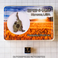 Brenham - Pallasite PMG-an - Skeletal Slice - USA (Kansas)