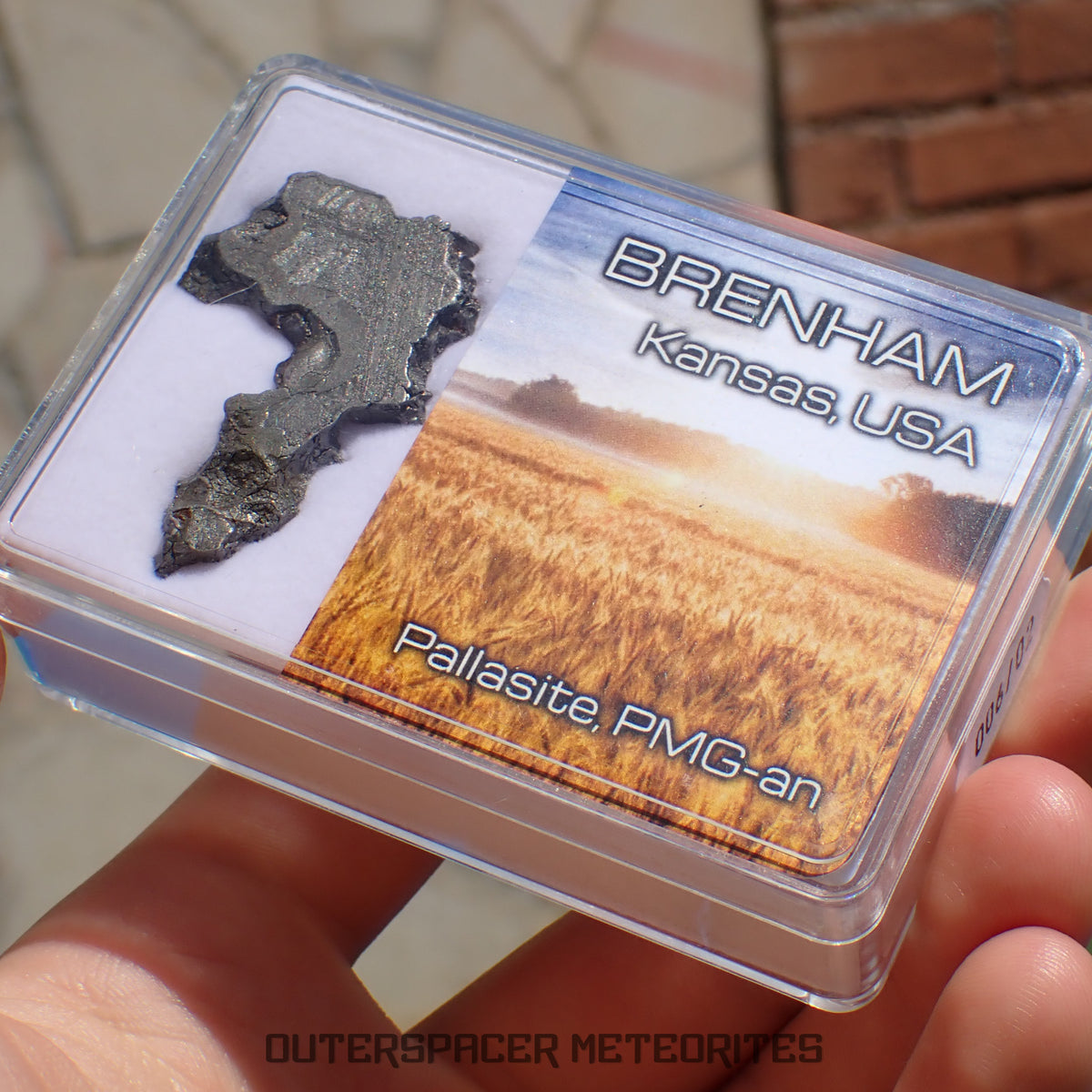 Brenham - Pallasite PMG-an - Tranche squelettique - 11.61g - USA (Kansas)