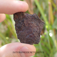 Canyon Diablo - Iron IAB-MG - Fragment - 11.51g - USA (Arizona)