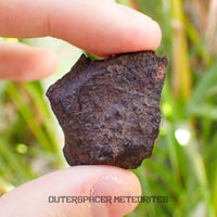 Canyon Diablo - Iron IAB-MG - Fragment - 11.51g - USA (Arizona)