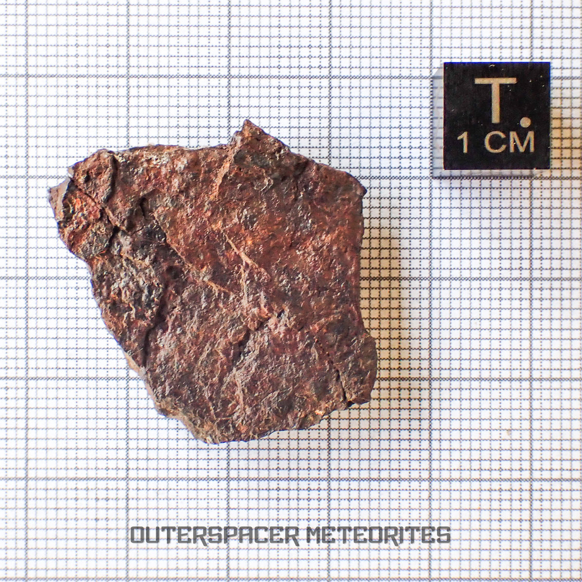 Canyon Diablo - Iron IAB-MG - Fragment - 11.51g - USA (Arizona)