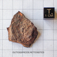 Canyon Diablo - Iron IAB-MG - Fragment - 11.51g - USA (Arizona)