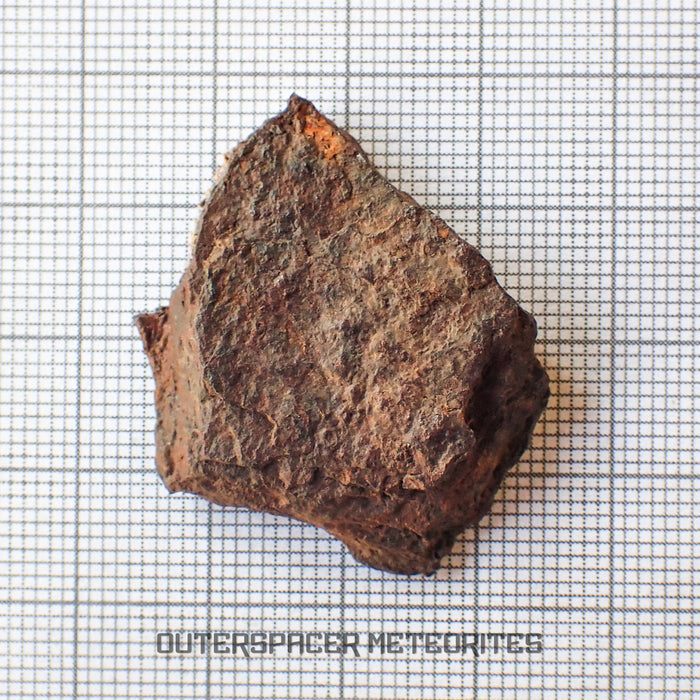 Canyon Diablo - Iron IAB-MG - Fragment - 11.51g - USA (Arizona)