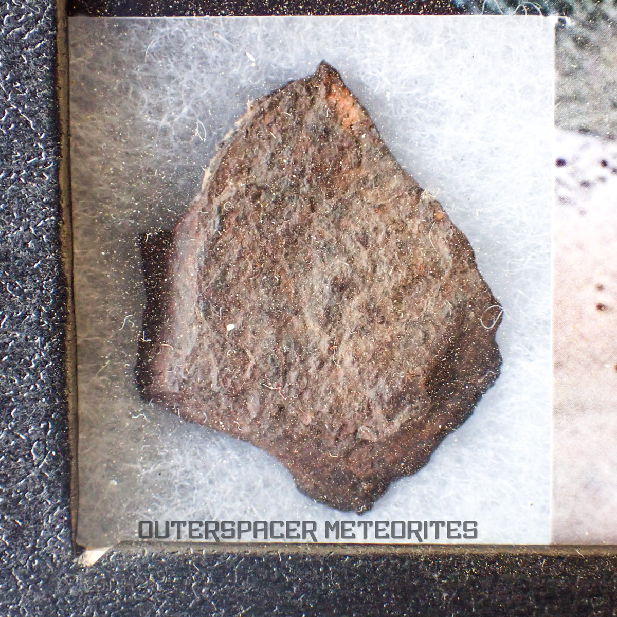 Canyon Diablo - Iron IAB-MG - Fragment - 11.51g - USA (Arizona)