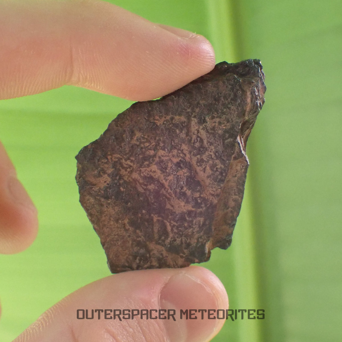 Canyon Diablo - Iron IAB-MG - Fragment - 31.46g - USA (Arizona)