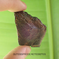 Canyon Diablo - Iron IAB-MG - Fragment - 31.46g - USA (Arizona)