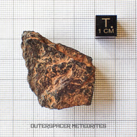 Canyon Diablo - Iron IAB-MG - Fragment - 31.46g - USA (Arizona)