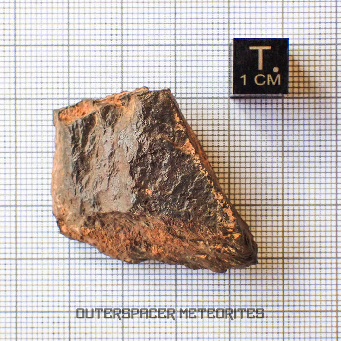Canyon Diablo - Iron IAB-MG - Fragment - 31.46g - USA (Arizona)