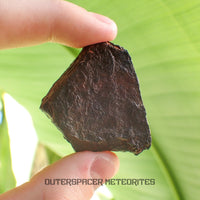 Canyon Diablo - Iron IAB-MG - Fragment - 36.62g - USA (Arizona)