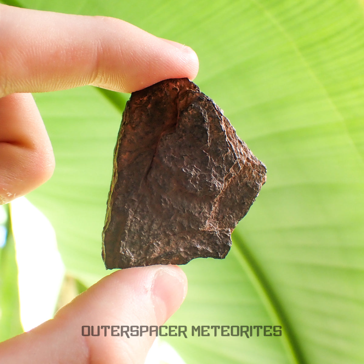 Canyon Diablo - Iron IAB-MG - Fragment - 36.62g - USA (Arizona)