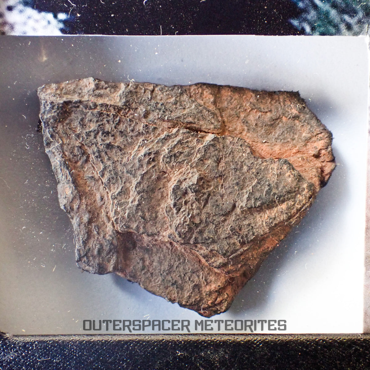 Canyon Diablo - Iron IAB-MG - Fragment - 36.62g - USA (Arizona)