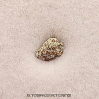 Carancas - H4-5 - Ordinary Chondrite  - Fragment - 0.059g - Peru