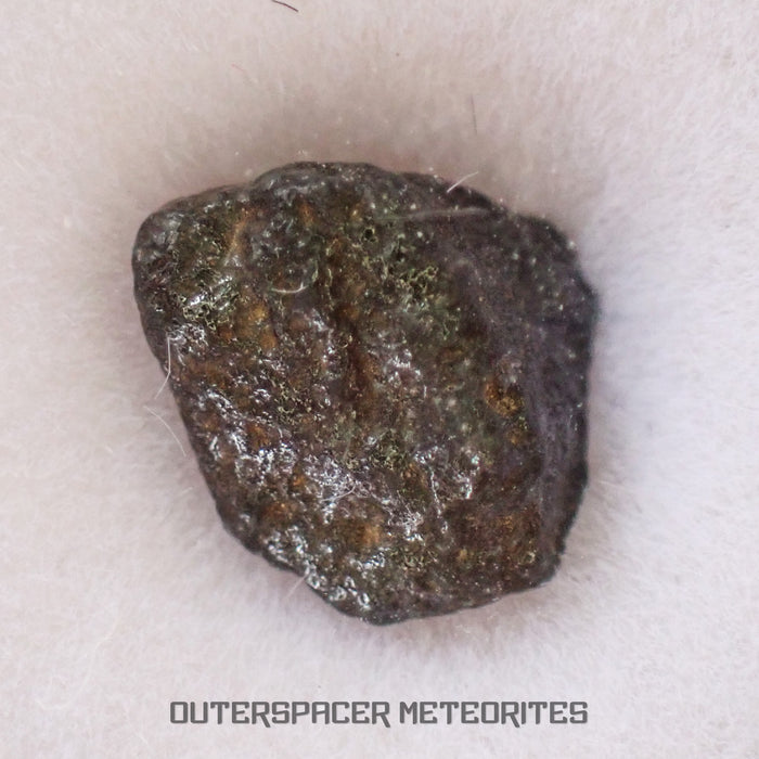 Carbonado - Diamant noir microcristallin - Individu complet - 1,57 ct - République centrafricaine