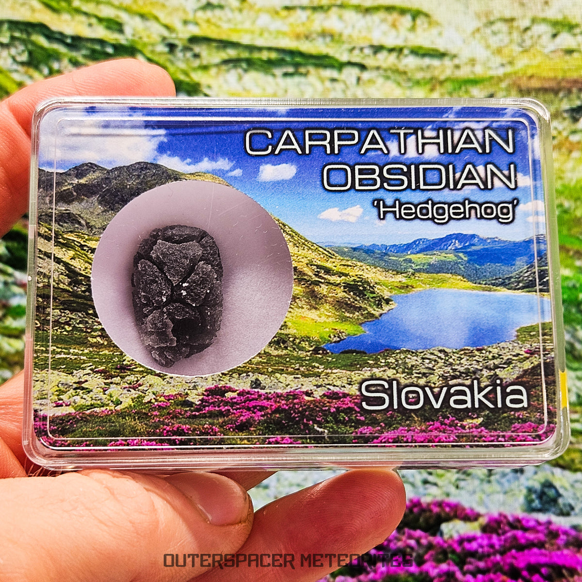 « Hérisson » des Carpates – Obsidienne – Individu complet – 4,3 g – Slovaquie