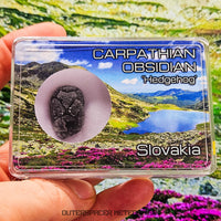 « Hérisson » des Carpates – Obsidienne – Individu complet – 4,3 g – Slovaquie