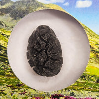 « Hérisson » des Carpates – Obsidienne – Individu complet – Slovaquie