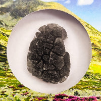 « Hérisson » des Carpates – Obsidienne – Individu complet – Slovaquie