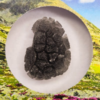 « Hérisson » des Carpates – Obsidienne – Individu complet – Slovaquie