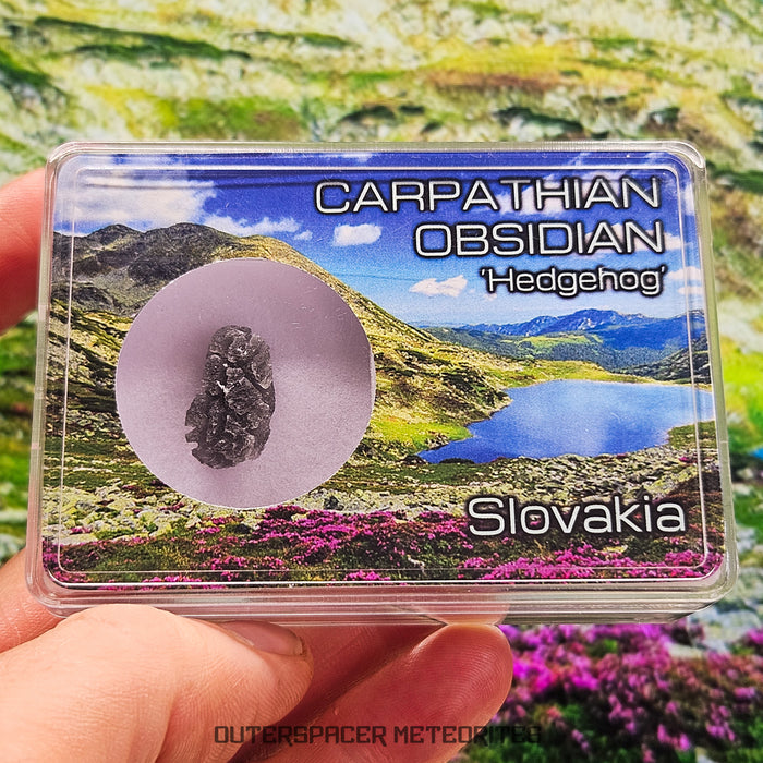Carpathian 'Hedgehog' - Obsidian - Complete Individual 1.47g- Slovakia