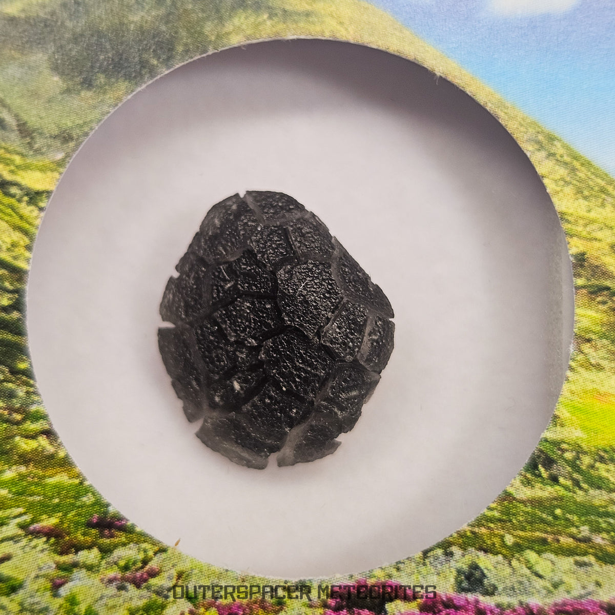 « Hérisson » des Carpates – Obsidienne – Individu complet – Slovaquie