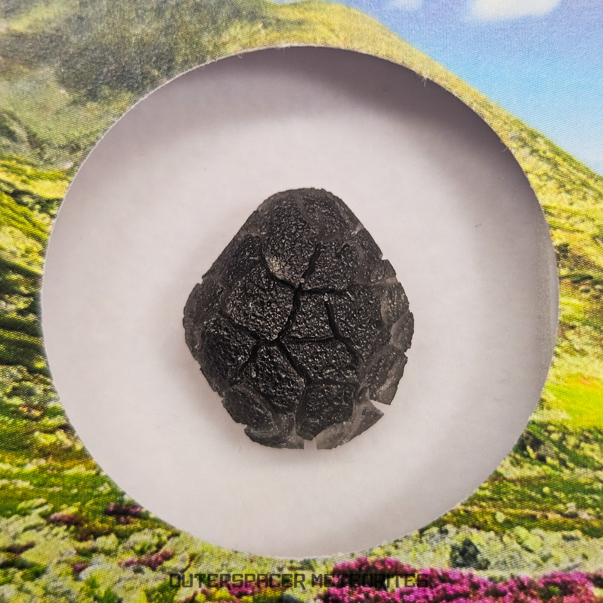 « Hérisson » des Carpates – Obsidienne – Individu complet – Slovaquie