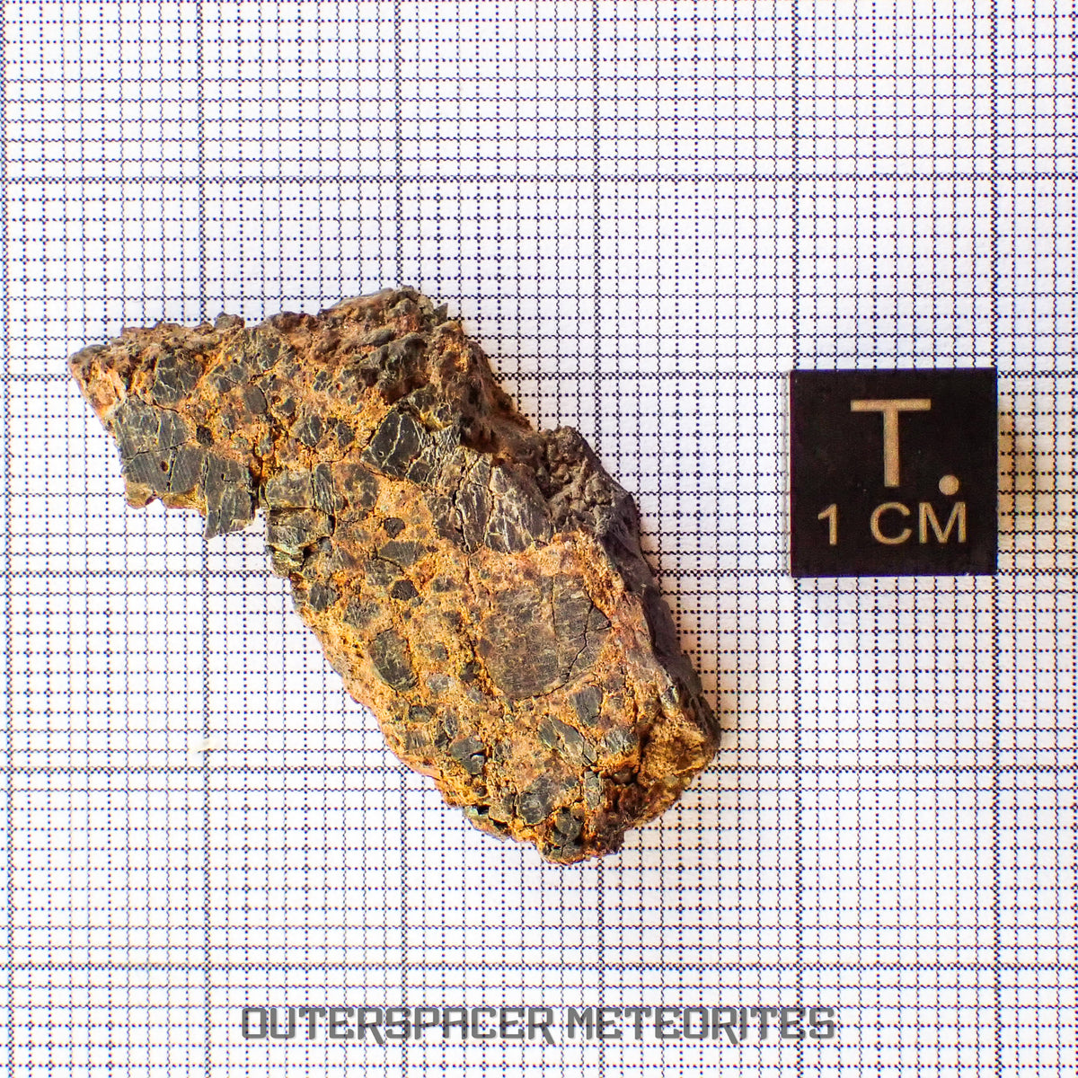 NWA 14056 Diogénite - Tranche partielle - 7g - Mali