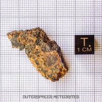 NWA 14056 - Diogenite - Partial Slice - 7g - Mali