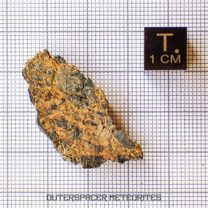 NWA 14056 - Diogenite - Partial Slice - 6.26g - Mali