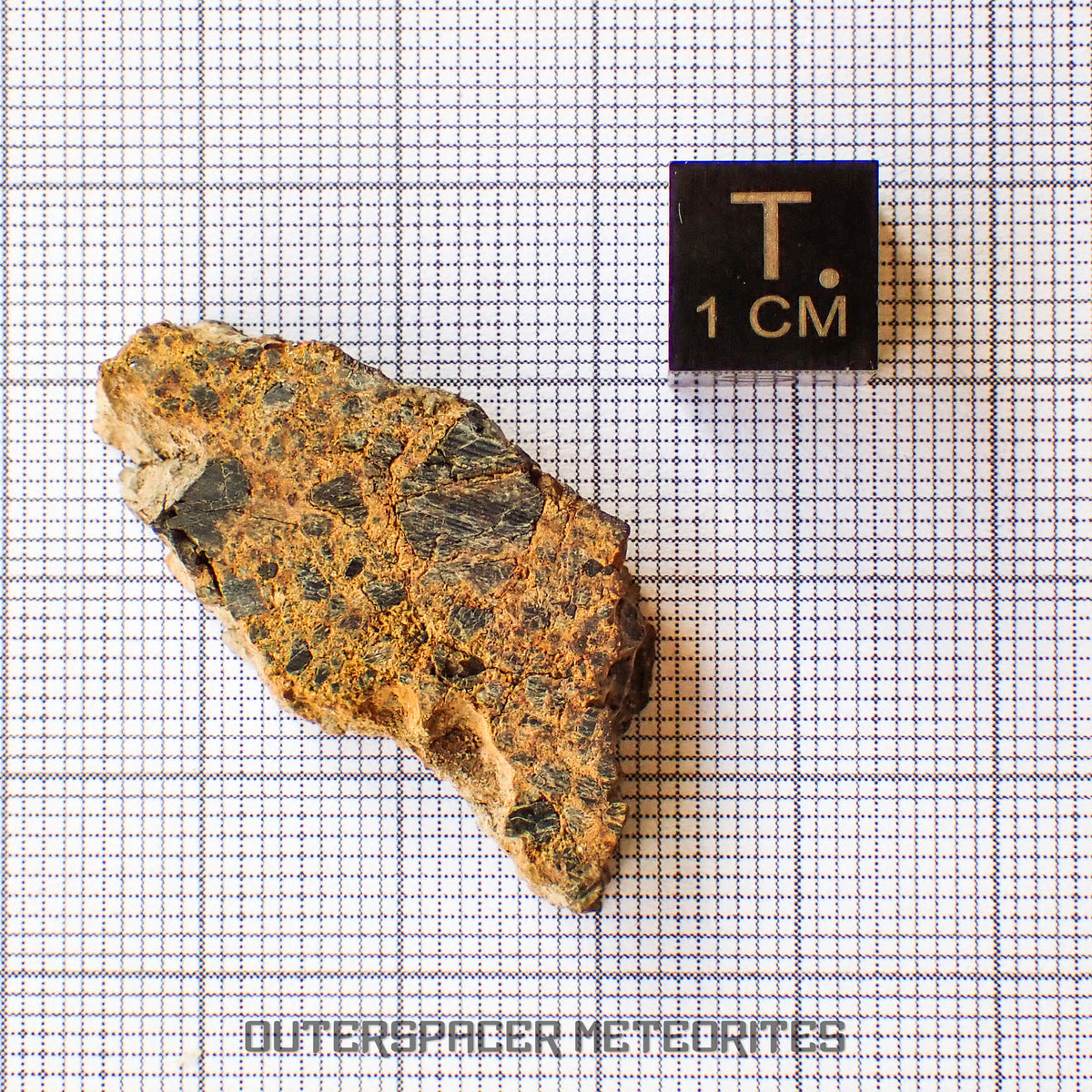 NWA 14056 - Diogenite - Partial Slice - 6.26g - Mali