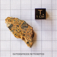 NWA 14056 - Diogenite - Partial Slice - 6.26g - Mali