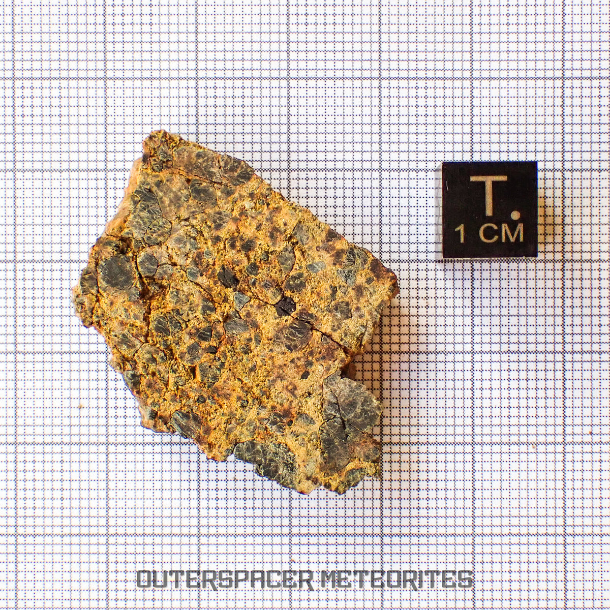 NWA 14056 - Diogenite - Partial Slice - 11.31g - Mali