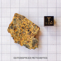 NWA 14056 - Diogenite - Partial Slice - 11.31g - Mali